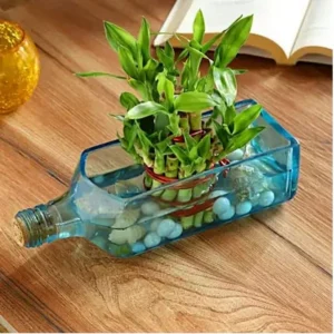 Bombay Sapphire Bottle Planter